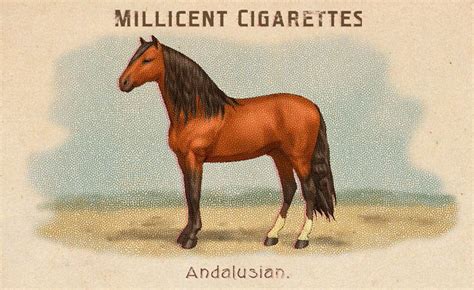 rdr2 horses cards|cigarette cards rd2.